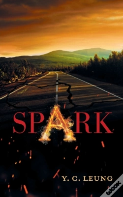 Capa do artigo Spark