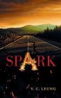 Spark - Preview