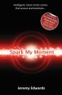 Spark My Moment - Preview