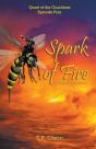 Spark Of Fire - Preview