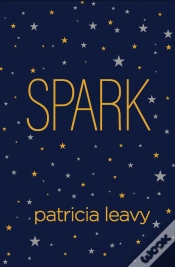 Capa do artigo Spark