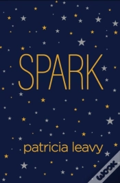 Capa do artigo Spark
