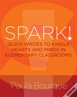 Capa do artigo Spark!