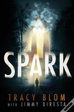 Capa do artigo Spark