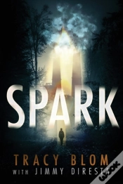 Capa do artigo Spark