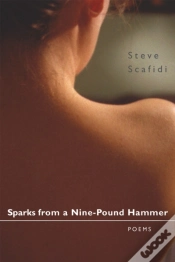 Capa do artigo Sparks From A Nine-Pound Hammer
