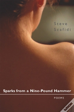 Capa do artigo Sparks From A Nine-Pound Hammer