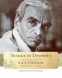 Sparks Of Divinity - Preview