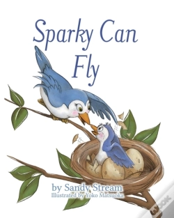 Capa do artigo Sparky Can Fly
