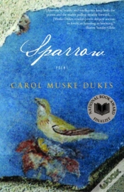 Capa do artigo Sparrow