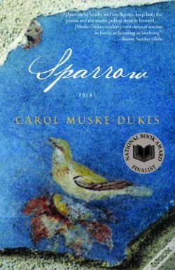 Capa do artigo Sparrow