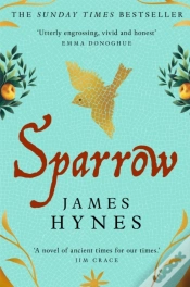 Capa do artigo Sparrow