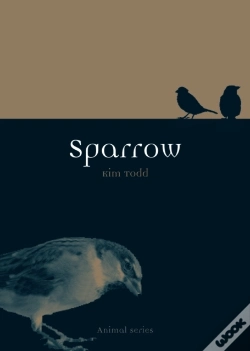 Capa do artigo Sparrow