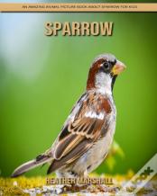 Sparrow