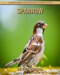 Sparrow - Preview