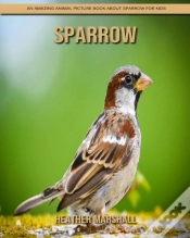 Capa do artigo Sparrow
