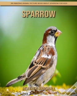 Capa do artigo Sparrow