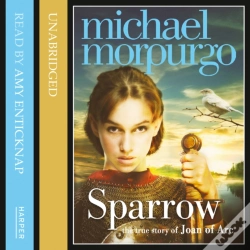 Capa do artigo Sparrow
