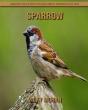 Sparrow - Preview