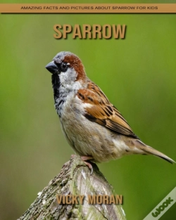 Capa do artigo Sparrow