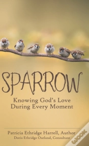 Capa do artigo Sparrow