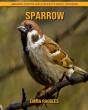 Sparrow - Preview