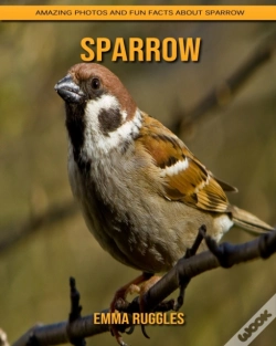Capa do artigo Sparrow