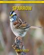 Sparrow - Preview