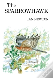 Sparrowhawk