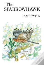 Capa do artigo Sparrowhawk