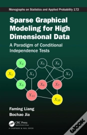 Capa do artigo Sparse Graphical Modeling For High Dimensional Data