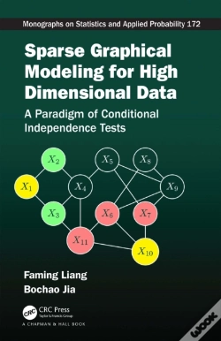 Capa do artigo Sparse Graphical Modeling For High Dimensional Data