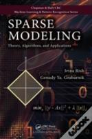 Sparse Modeling