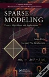 Capa do artigo Sparse Modeling