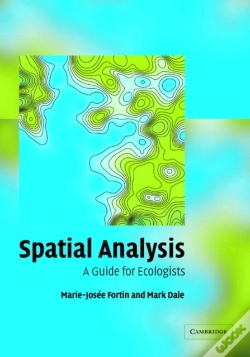 Capa do artigo Spatial Analysis