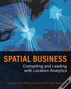 Capa do artigo Spatial Business
