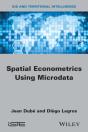 Spatial Econometrics Using Microdata - Preview
