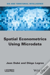 Spatial Econometrics Using Microdata