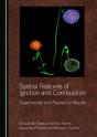 Spatial Features Of Ignition And Combustion - Preview