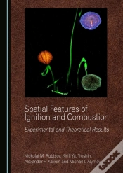 Capa do artigo Spatial Features Of Ignition And Combustion