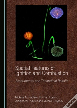 Capa do artigo Spatial Features Of Ignition And Combustion