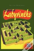 Spatial Labirynths