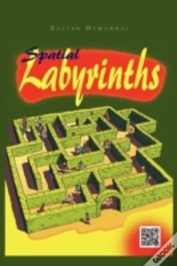 Capa do artigo Spatial Labirynths