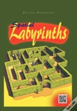 Capa do artigo Spatial Labirynths
