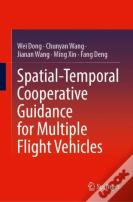 Spatial-Temporal Cooperative Guidance For Multiple Flight Vehicles