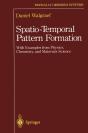 Spatio-Temporal Pattern Formation - Preview