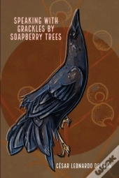 Speaking With Grackles By Soapberry Trees