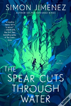 Capa do artigo Spear Cuts Through Water