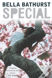 Capa do artigo Special