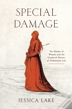 Capa do artigo Special Damage